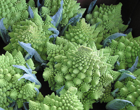 Romanesco